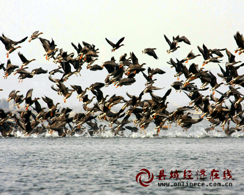 河北省邯郸市磁县